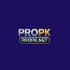 PROPK Game