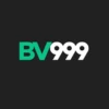BV999 Game
